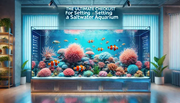 The Ultimate Checklist for Setting Up a Saltwater Aquarium